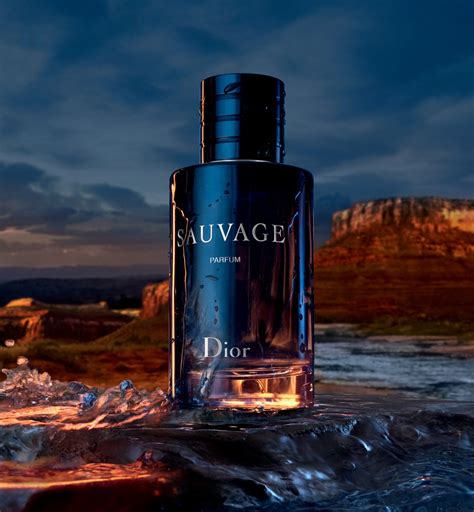 best dior privee for men|Dior for men sauvage.